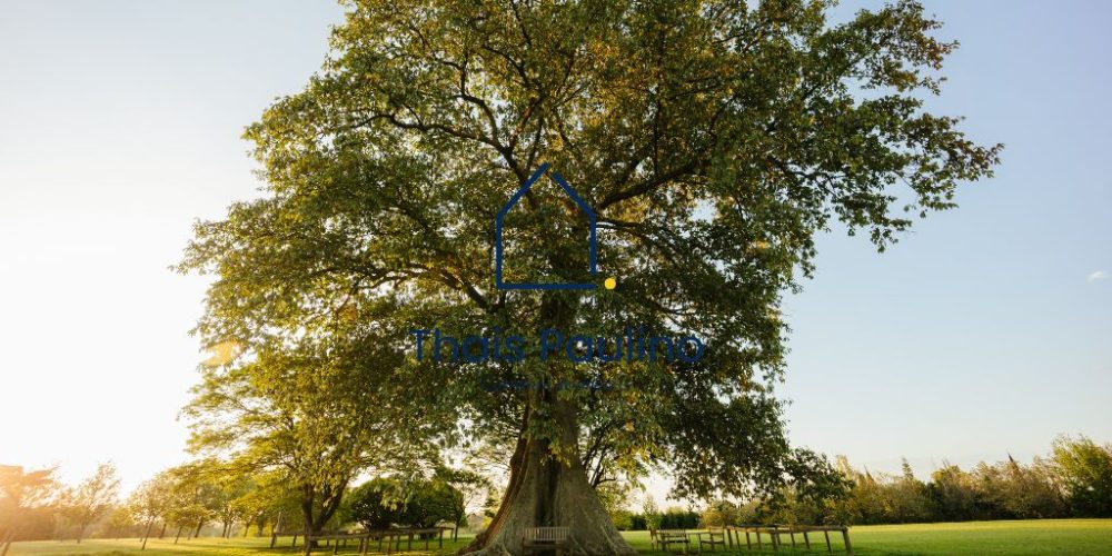 Terreno Reserva Itanhangá Indaiatuba