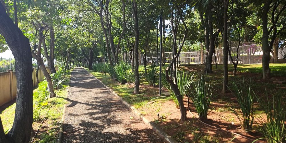 Terreno Residencial Duas Marias 363m²(8)